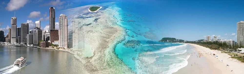 Your FNQ Management Rights Specialist - Calvin Bailey