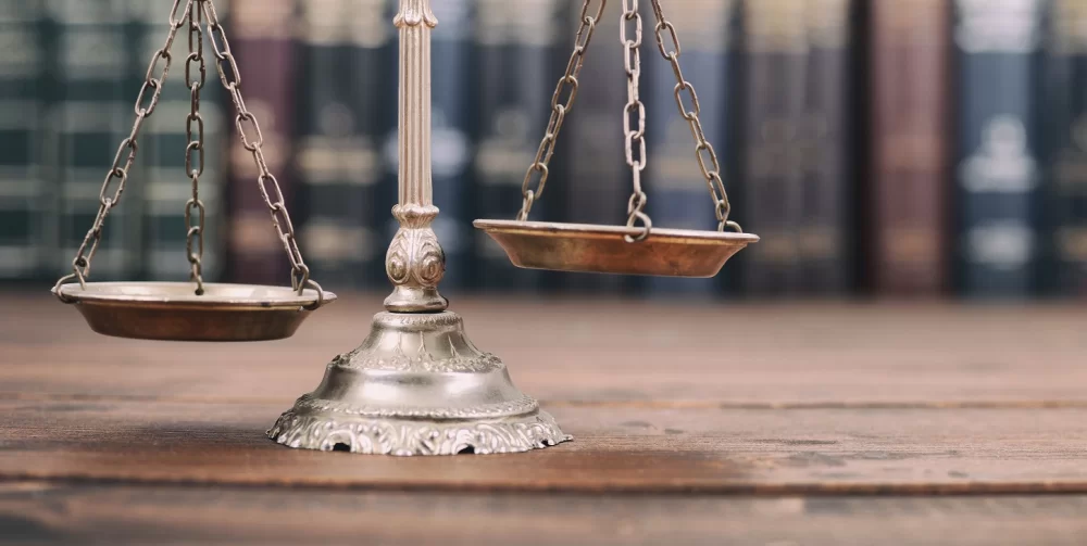 Gallery Vie… Goodness me!