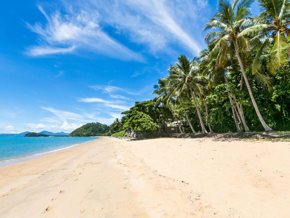 Coral sea beach is pure gold