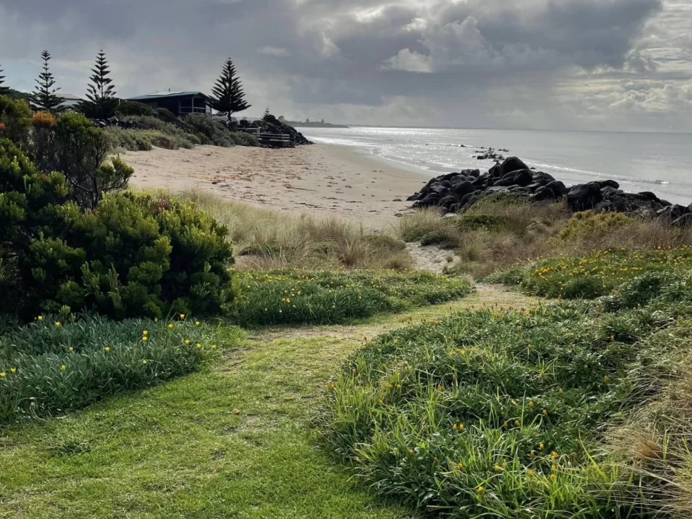 Bay of plenty at Portland