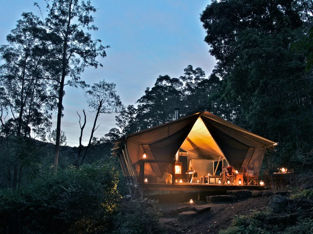 Luxury camping and bookings windfall