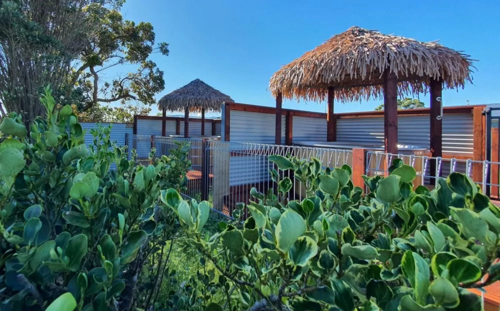 New Zealand’s west coast unveils gem at Carters Beach