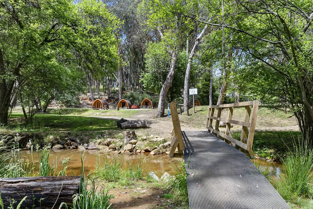 Gold at Beechworth Holiday Park