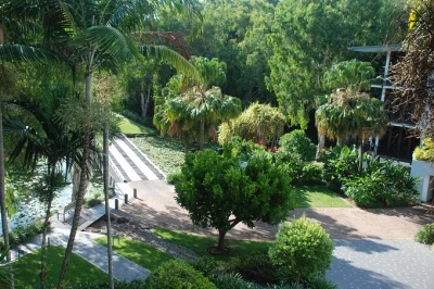 Finding Sanctuary Palm Cove