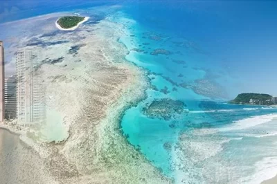 Your FNQ Management Rights Specialist - Calvin Bailey