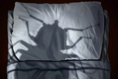 The worldwide war on bed bugs