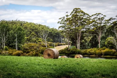 Bumper harvest reaps property riches