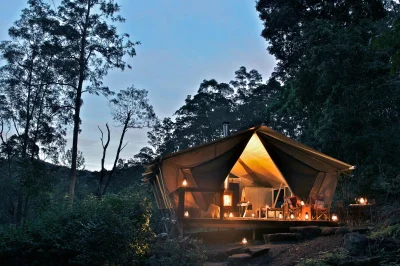 Luxury camping and bookings windfall