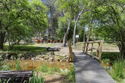 Gold at Beechworth Holiday Park