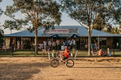 Faithful Collie has rich reward