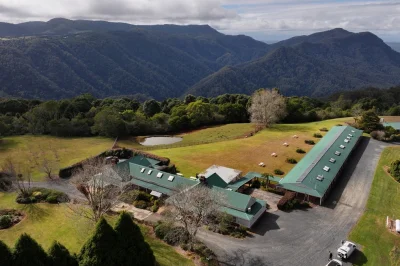 Mid-North Coast Mountain Retreat Prime for Repositioning for sale by HTL Property