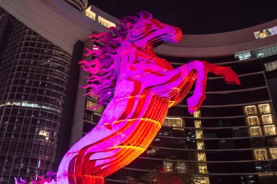 A growing voice: Chinese-background professionals reshaping management rights