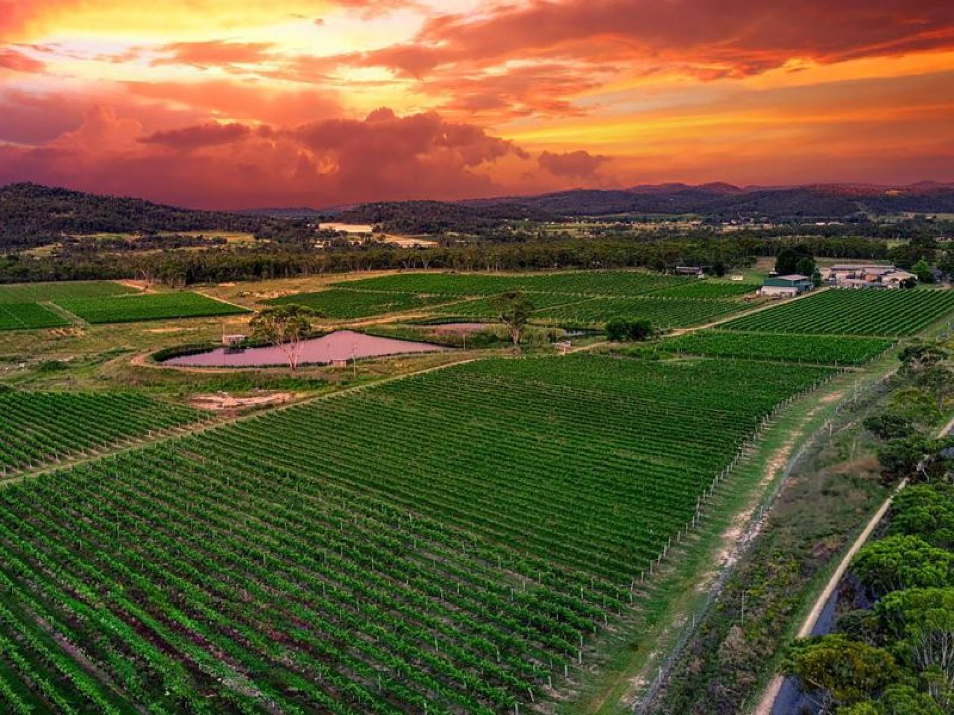 Alcohol/Liquor for sale Ballandean