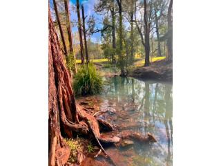 Caravan Parks For Sale - 1 large