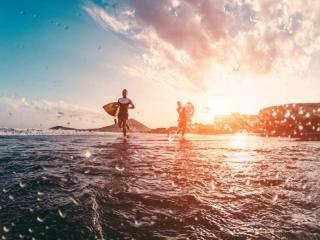 Management Rights For Sale - 1 large