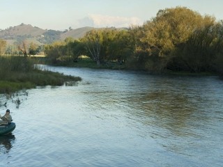 Caravan Parks For Sale - 1 large