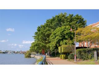 Management Rights For Sale - 1 large