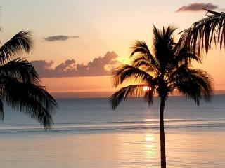 Management Rights For Sale - 1 large