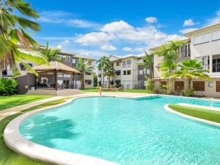 Management Rights For Sale - 1 large