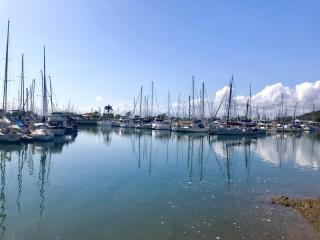 Priced to Sell Yesterday: Highly Profitable Bayside Living Business