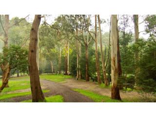 Freehold Riverside Retreat on 10 acres generating $260K revenue | Resort Brokers ID : FH009086